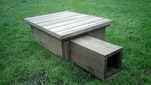 Hedgehog houses & feed stations