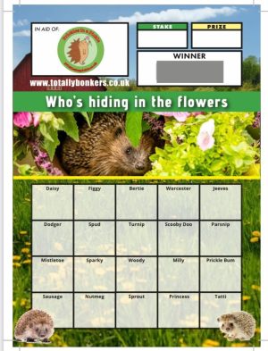 Scratch Card July 2026