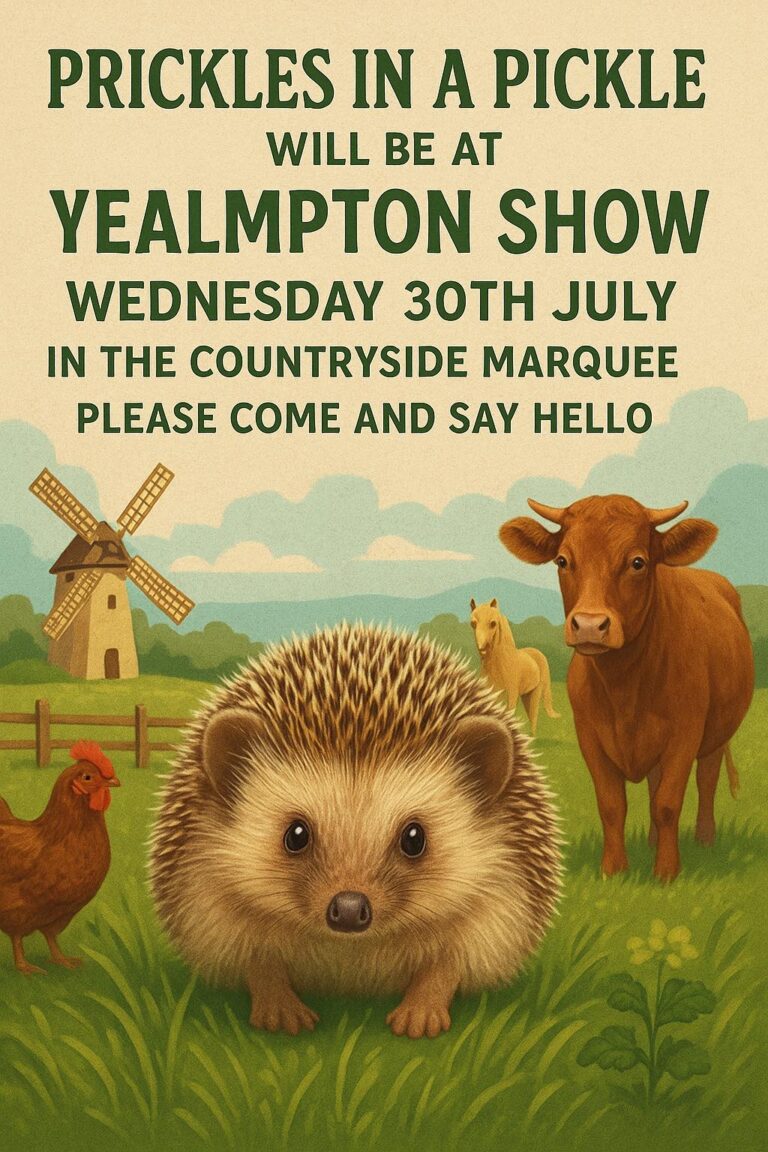 Yealmpton Show Wednesday 30th July 2025