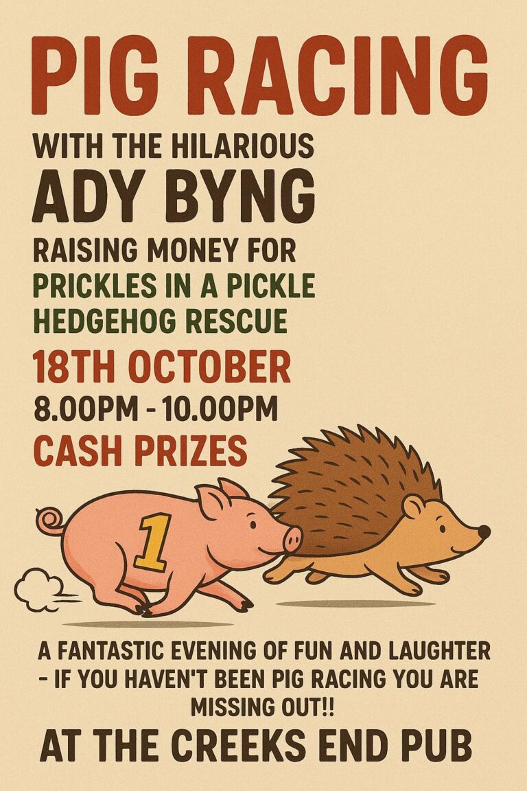 Pig Racing 18th October 2025