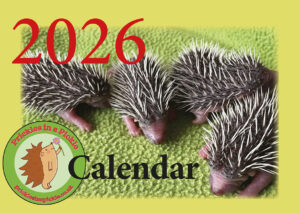 2026 Prickles in a Pickle Calendars