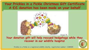 Christmas Gift Certificate