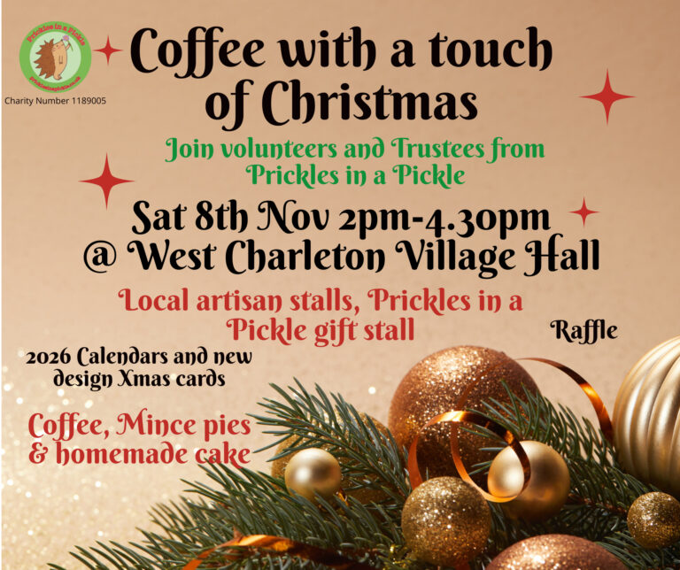 Coffee with a Touch of Christmas – Saturday 8th November  2pm – 4.30pm at West Charleton Village Hall.